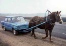 Діма Петрук фотография #28 (источник - https://vk.com/id133536471)