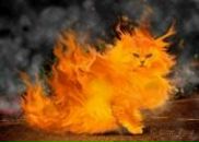 Фотография Фёдоровой Юлии