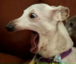 Едік Пивоваp фотография #42 (источник - https://vk.com/id56485908)