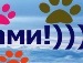 Ілонка Вихопень фотография #41 (источник - https://vk.com/id138294509)