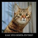 Фотография Галимова Рашида