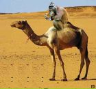 Фотография Нестеровой Марии