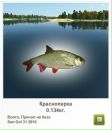 Андріан Береза фотография #30 (источник - https://vk.com/id84799487)