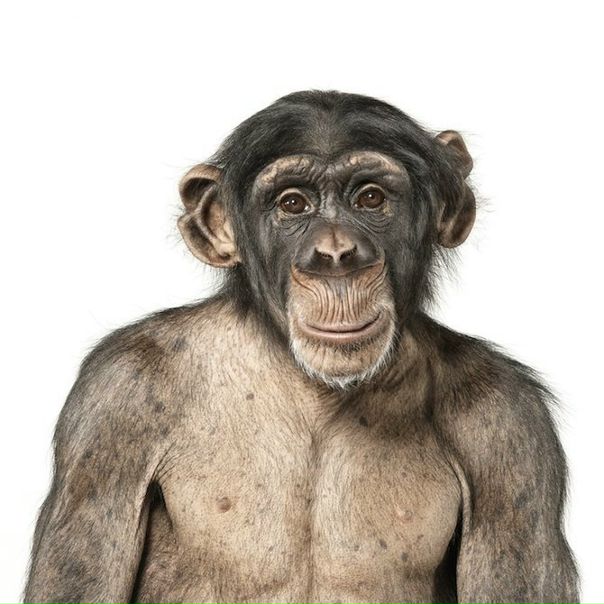 №7, Антон Антоныч, 23.9.1922 №7, Антон Антоныч, 23.9.1922