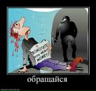 Дмитрий Хитрый фотография #10 (источник - https://vk.com/id944026)