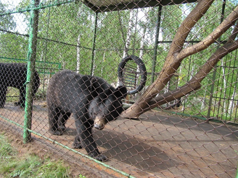 Александр Рыков фотография #14