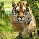 Сергій Дуда фотография #40 (источник - https://vk.com/id174595734)