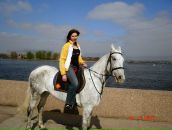 Фотография  