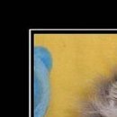 Христина Якімець-Максимяк фотография #36 (источник - https://vk.com/id21782638)