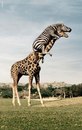 Фотография Ольшина Дмитрия