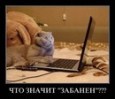 Вєталь Павлів фотография #8 (источник - https://vk.com/id138431729)