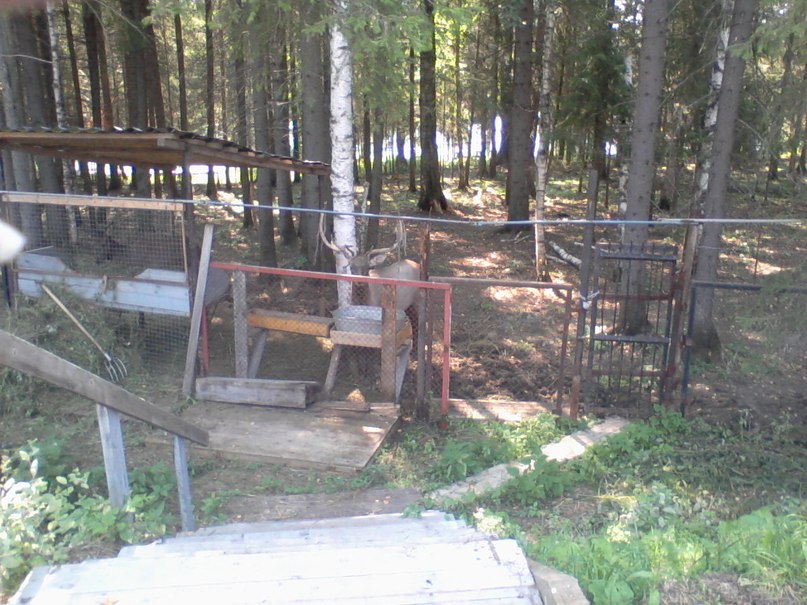 Виктор Крутиков фотография #41