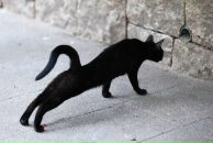 Фотография Котова Владимира