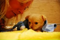 Фотография Хапаловой Алины