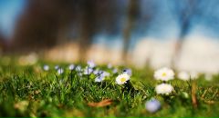 Іра Пристай фотография #12 (источник - https://vk.com/id8570804)