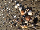 Фотография Халаимовой Татьяны