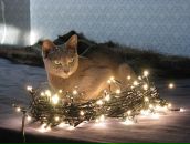 Фотография Симоновой Ирины