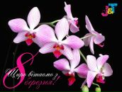 Тарас Корінчук фотография #30 (источник - https://vk.com/id14861483)