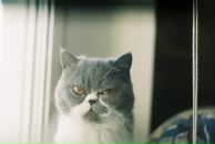 Фотография Дмитриева Жени