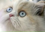 Фотография Петровой Тани