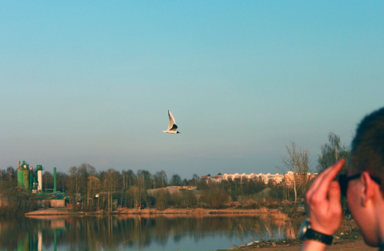 Антон Костромин фотография #6