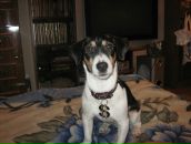 Фотография Филипповой Натальи