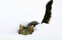 Олюська =] фотография #3 (источник - https://vk.com/id76097788)