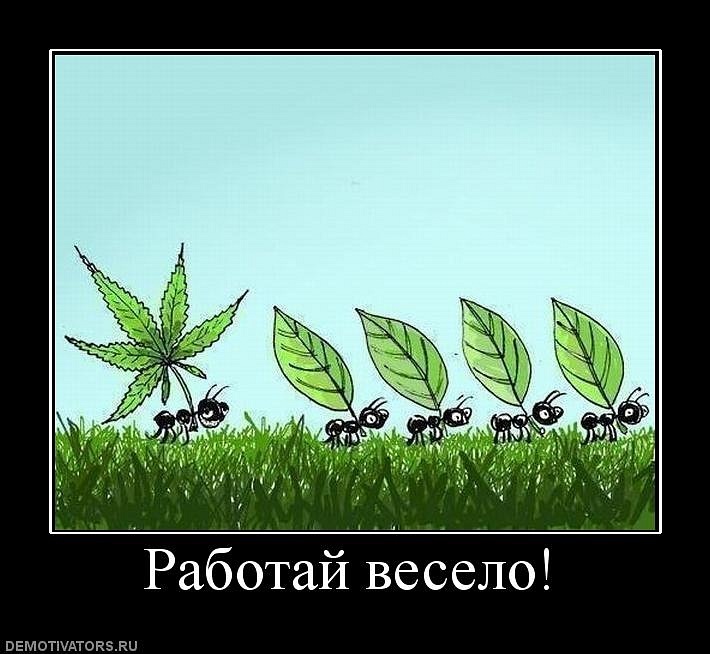 Дмитрий Макеев фотография #44