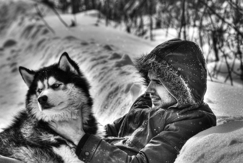 Дмитрий Арефьев фотография #39