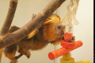 Фотография Бесклеткиной Виктории