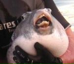 Фотография Коробова Димы