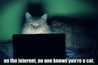 Фотография Зонова Ярослава