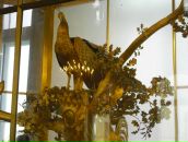 Владимир Камратов фотография #45 (источник - https://vk.com/id6040418)