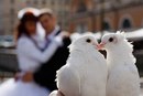 Любовь Κарасева фотография #35 (источник - https://vk.com/id168364865)