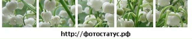 Ксюша Білашова фотография #26 (источник - https://vk.com/id18064545)