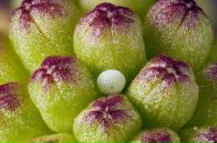 Антон Филь фотография #14 (источник - https://vk.com/id1657549)