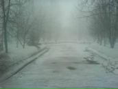 Фотография Цукерман Екатерины