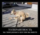 Игорь Темник фотография #33 (источник - https://vk.com/id96615668)