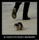 Фотография Кулева Ивана