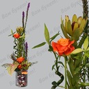 Марія Кучерепа фотография #14 (источник - https://vk.com/id148015233)