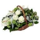 Марія Кучерепа фотография #13 (источник - https://vk.com/id148015233)