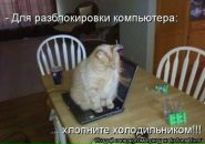 Фотография Яборевой Ани