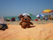 Фотография Лосской Татьяны