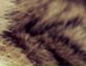 Яна Excale фотография #10 (источник - https://vk.com/id727315)