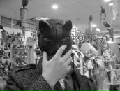 Фотография Невицкого Евгения