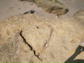 Іванна Ясінець фотография #45 (источник - https://vk.com/id136968038)