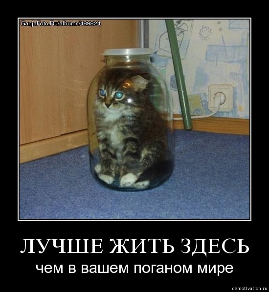 №1, Светик Семицветик №1, Светик Семицветик