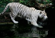 Фотография Атнагулова Радика