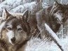 Андрій Колодницький фотография #28 (источник - https://vk.com/id133870733)
