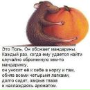 Ян Ткачев фотография #18 (источник - https://vk.com/id14046357)